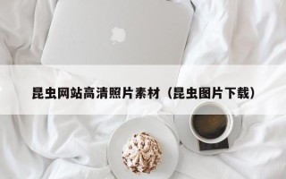 南宁昆虫网站高清照片素材（昆虫图片下载）